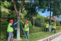 漳州园林行业协会开展护绿行动,为城市添上更美的一抹绿色_必威betawy