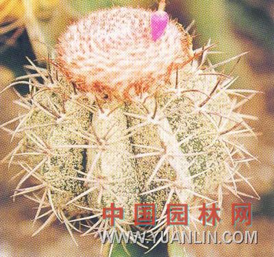 层云图片