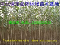 107.绰13582253153