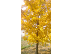 10-25