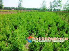 Ӧ30-350С硢1000ֱ