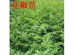   籨