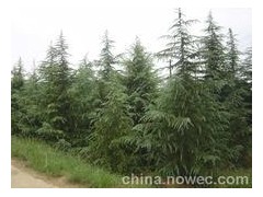 ѽ5ѩɼ۸6.8ѩɼ۸8ѩɼ۸
