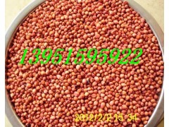 ţöѼʲôݳԡֺ