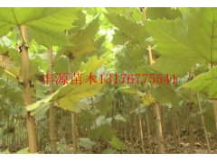 3~4ַͩ  5000