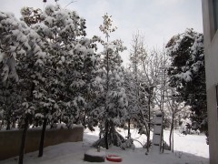 2013ľ۸