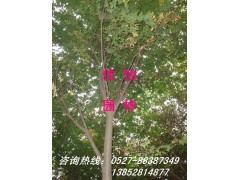 ֱ  2-30cm