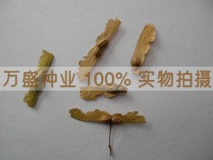 ձ