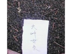 Ӻϻ