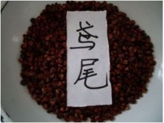 β