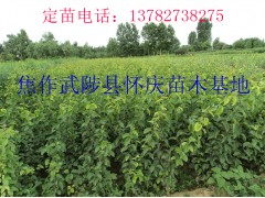 糩֣ݡ硢⡢ܿ