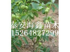 磬磬磬۸