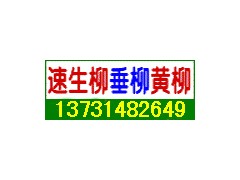 ӱ-۸-С-Ӧ-