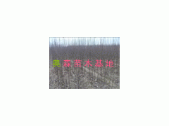 С660ҶС800