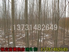 С-3-4-۸