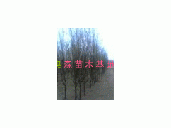 2450-̻2200