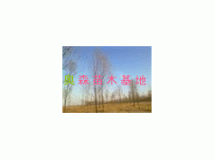 -ɭ-ҵ