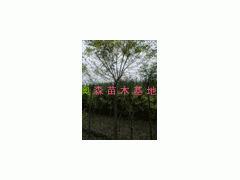 1818ּ޽Ӵ