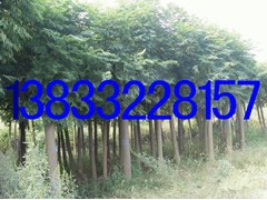 3-10200