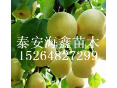 ϻƽ磬ƽ磬ϻƽ۸Ͳ