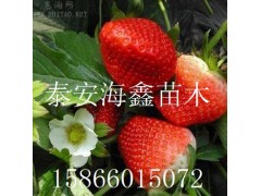 Ϻӣ磬ӣ磬ӣС