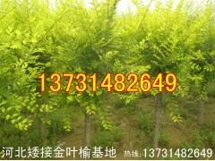 Ҷ|2-5ְӽҶ|ӽҶܻ