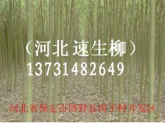 Ӧ|Ӧ2-15|۸