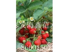 ᷺ӣ磬᷺ӣ磬᷺ӣ