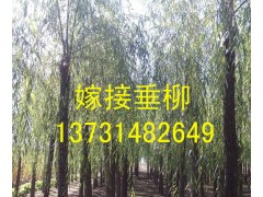 8ִ10ִ12ִ15ִ