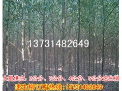 Ӧ2345