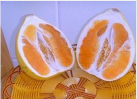ƽͽ磬