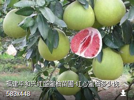 ӦֶǮһּ۸