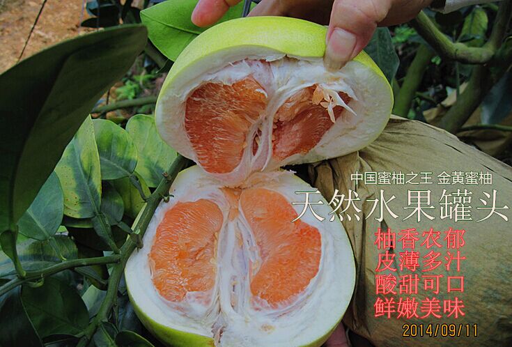 Ӧֲֲʽ