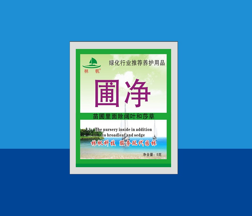 Ծ