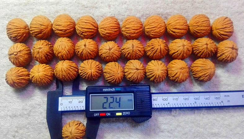 Ӧ20-45mmͷ2