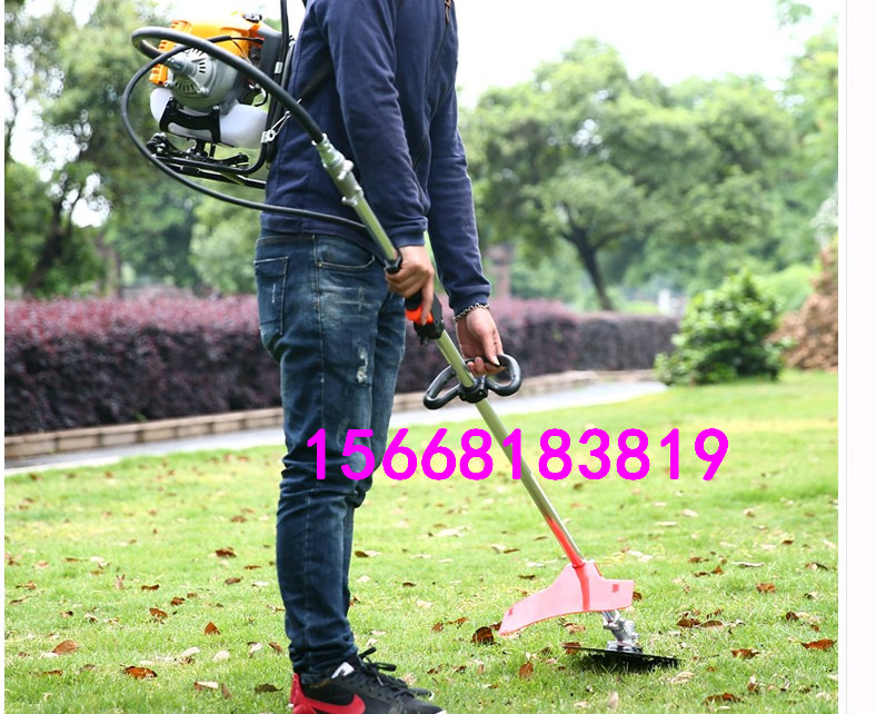 ʽݻ