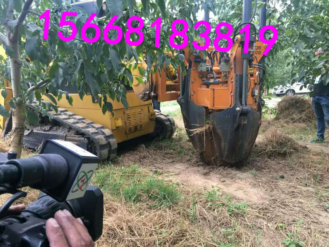 Ͱʽ