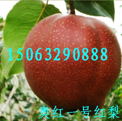 ʺ磬ºһŻ磬ֺ