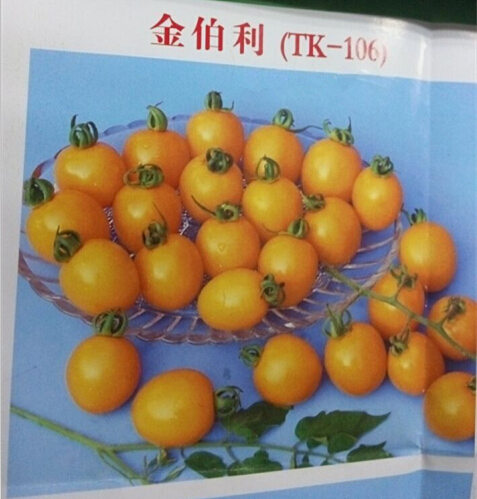 ǧʥŮ С