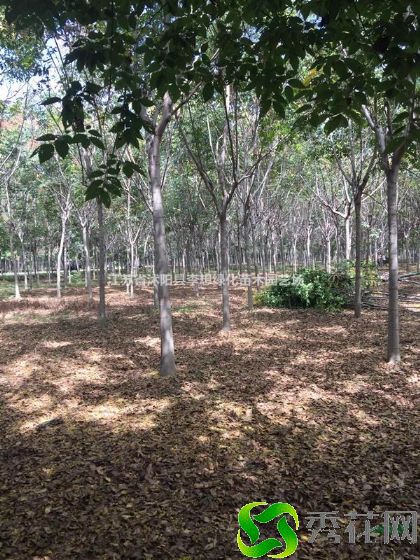 �����ζ�����������������