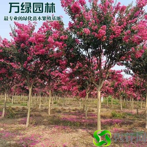 ��ɽ��������ֳ��ޱ����Щ��Ҫע�����