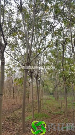 �����ζ�����������������