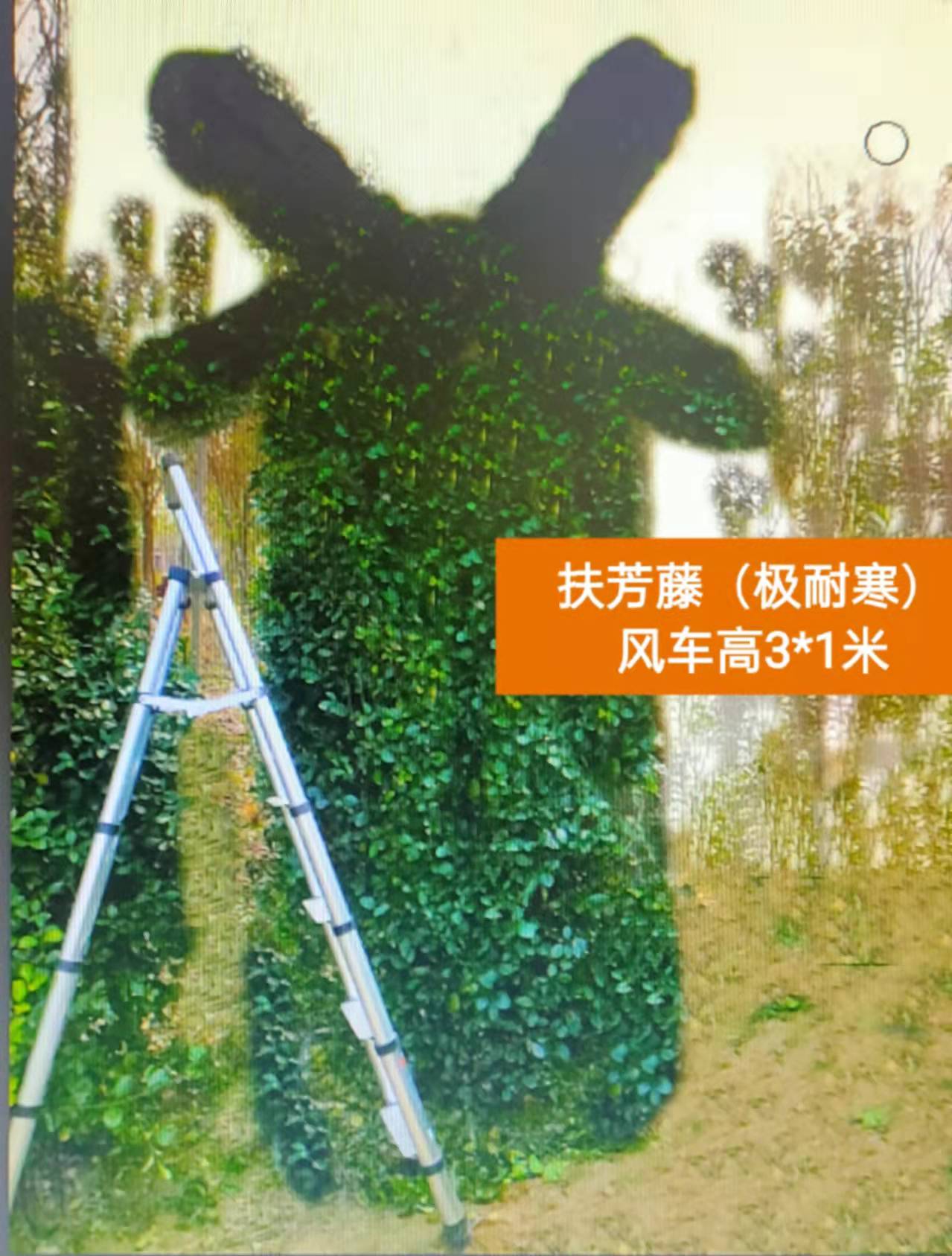 ľ