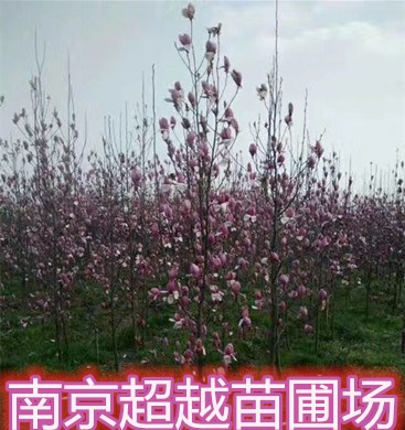ṩϾ컨λ*5-8ֺ컨Ǯ