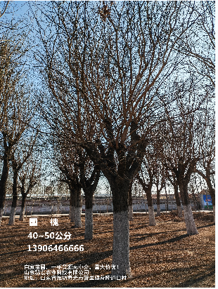 Ӧ40-50ֹ