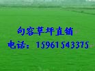 ӦĽݻ첥ƺ15961543375